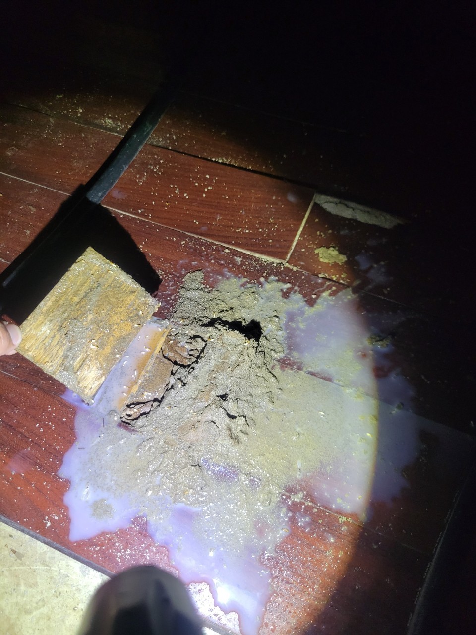 Ho消毒有限公司的實際案例圖片